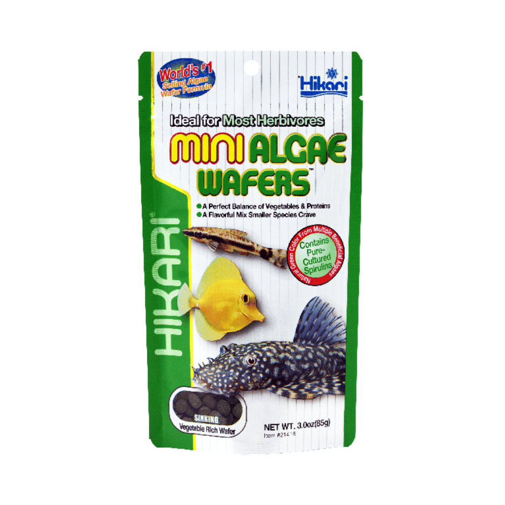 Hikari Mini Algae Wafers - Little Pet World