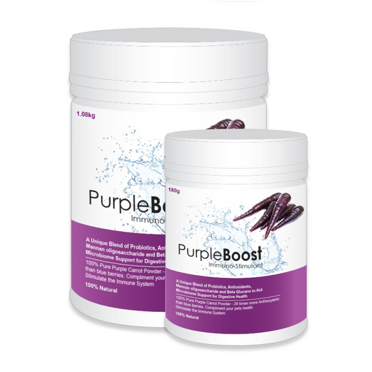 LifeWise Purple Boost Immune Stimulant (180g)