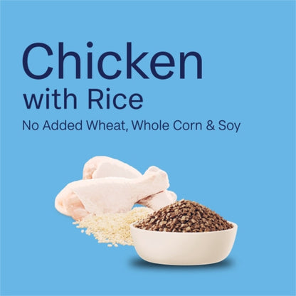 Advance Kitten Chicken with Rice