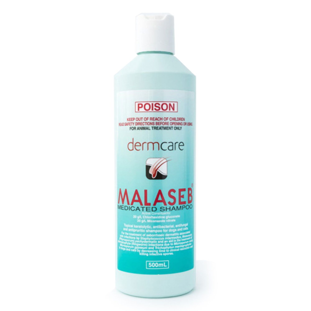 Dermcare Malaseb Medicated Shampoo