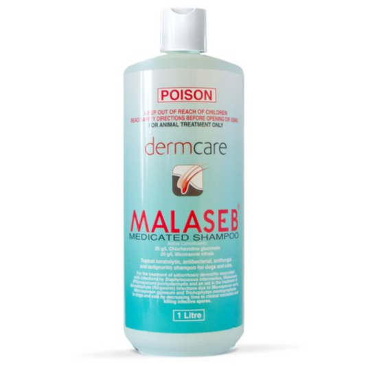 Dermcare Malaseb Medicated Shampoo