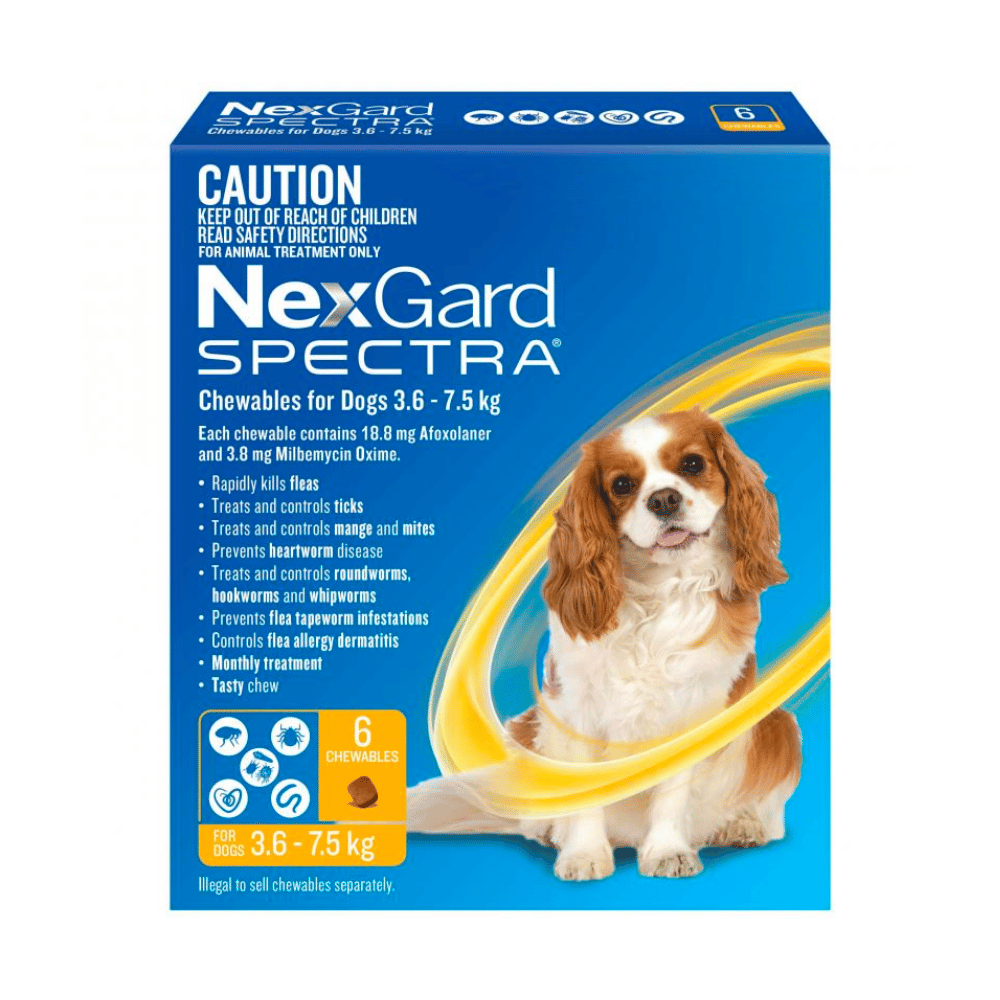 Nexgard Spectra Chews - Little Pet World