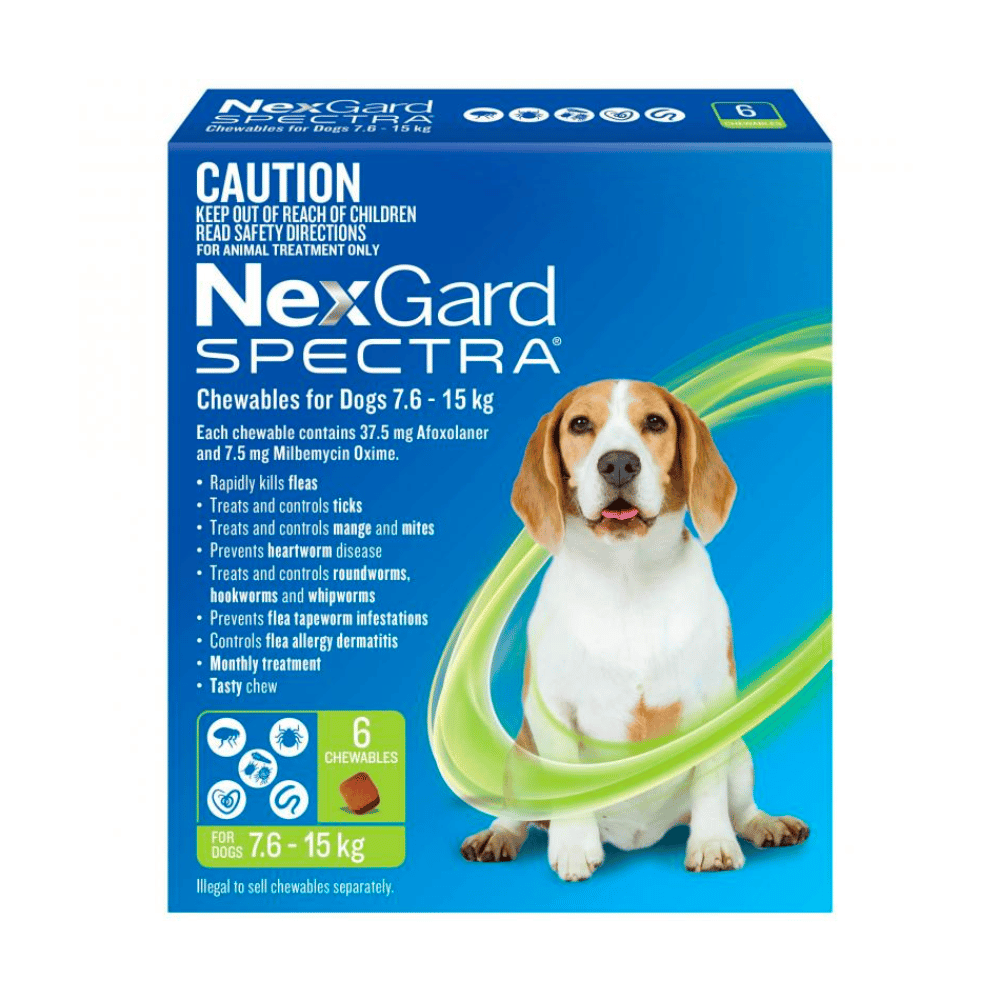 Nexgard Spectra Chews - Little Pet World