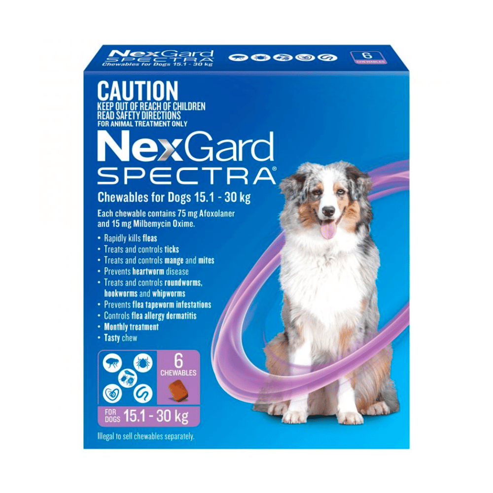 Nexgard Spectra Chews - Little Pet World