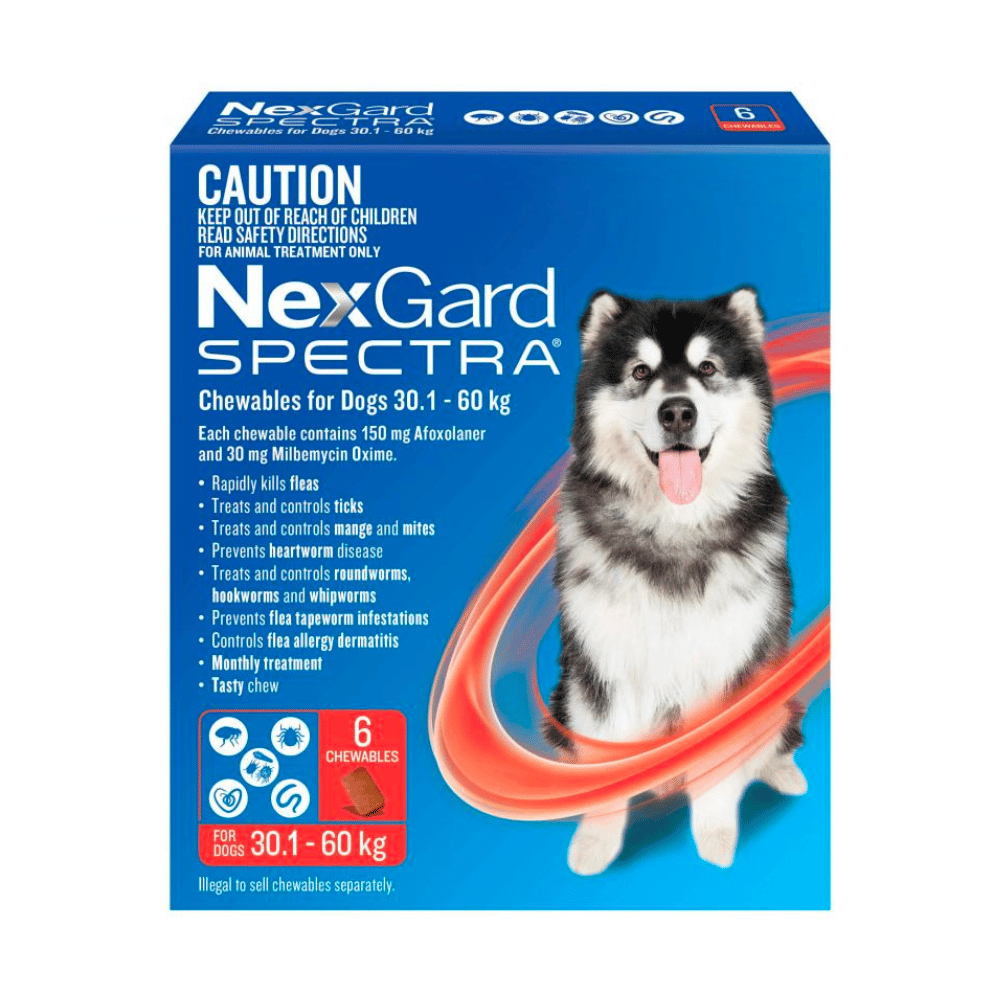 Nexgard Spectra Chews - Little Pet World