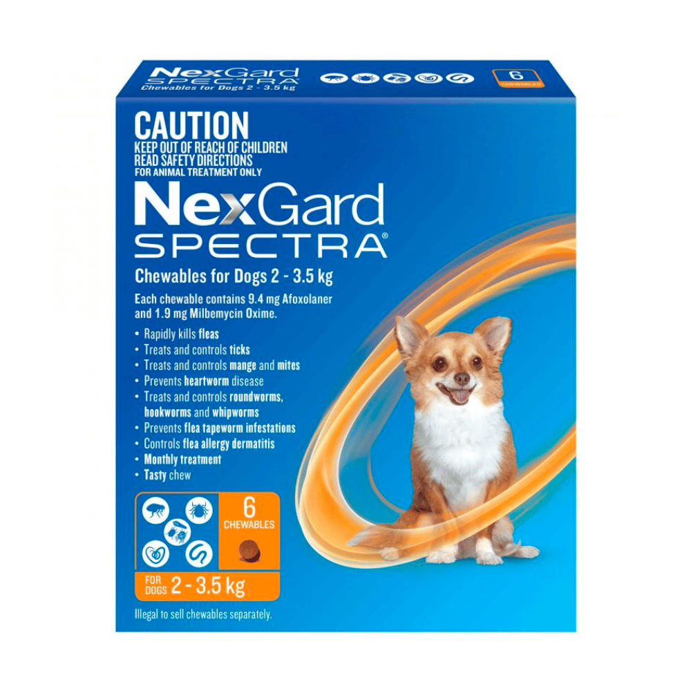 Nexgard Spectra Chews - Little Pet World