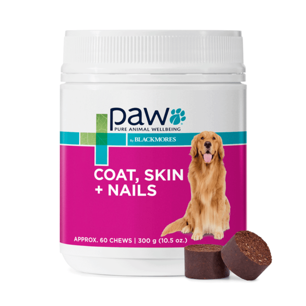 PAW Blackmores Coat, Skin & Nails Multivitamin Chews - Little Pet World