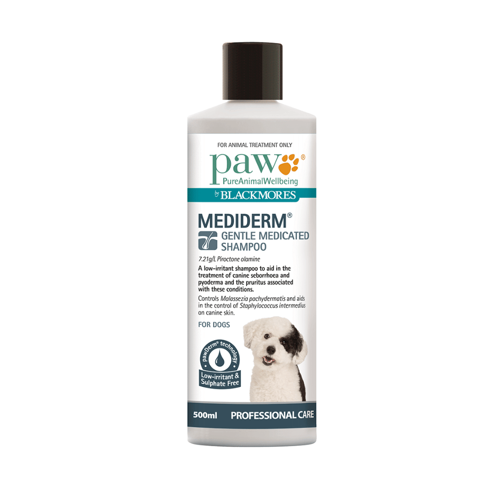 PAW Blackmores MediDerm Gentle Medicated Shampoo - 500ml - Little Pet World