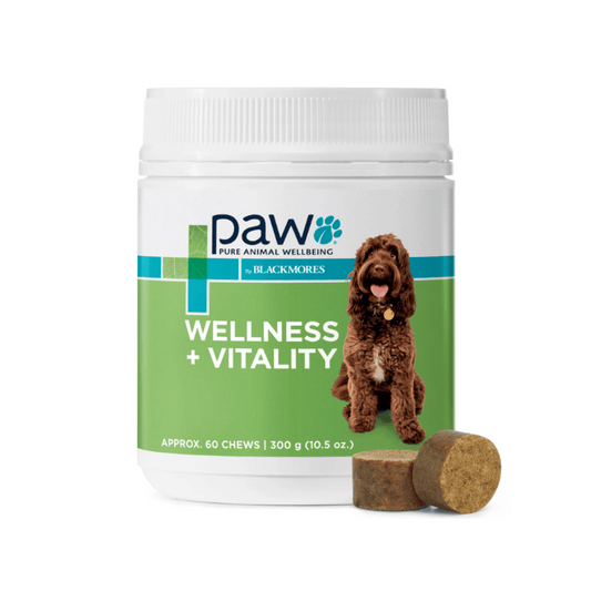 PAW Blackmores Wellness & Vitality Multivitamin Chews - Little Pet World