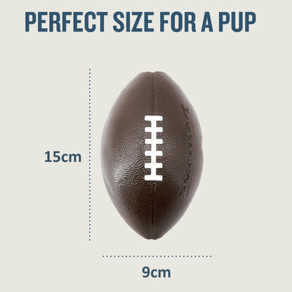 Planet Dog Durable Treat Dispensing & Fetch Dog Toy - Football