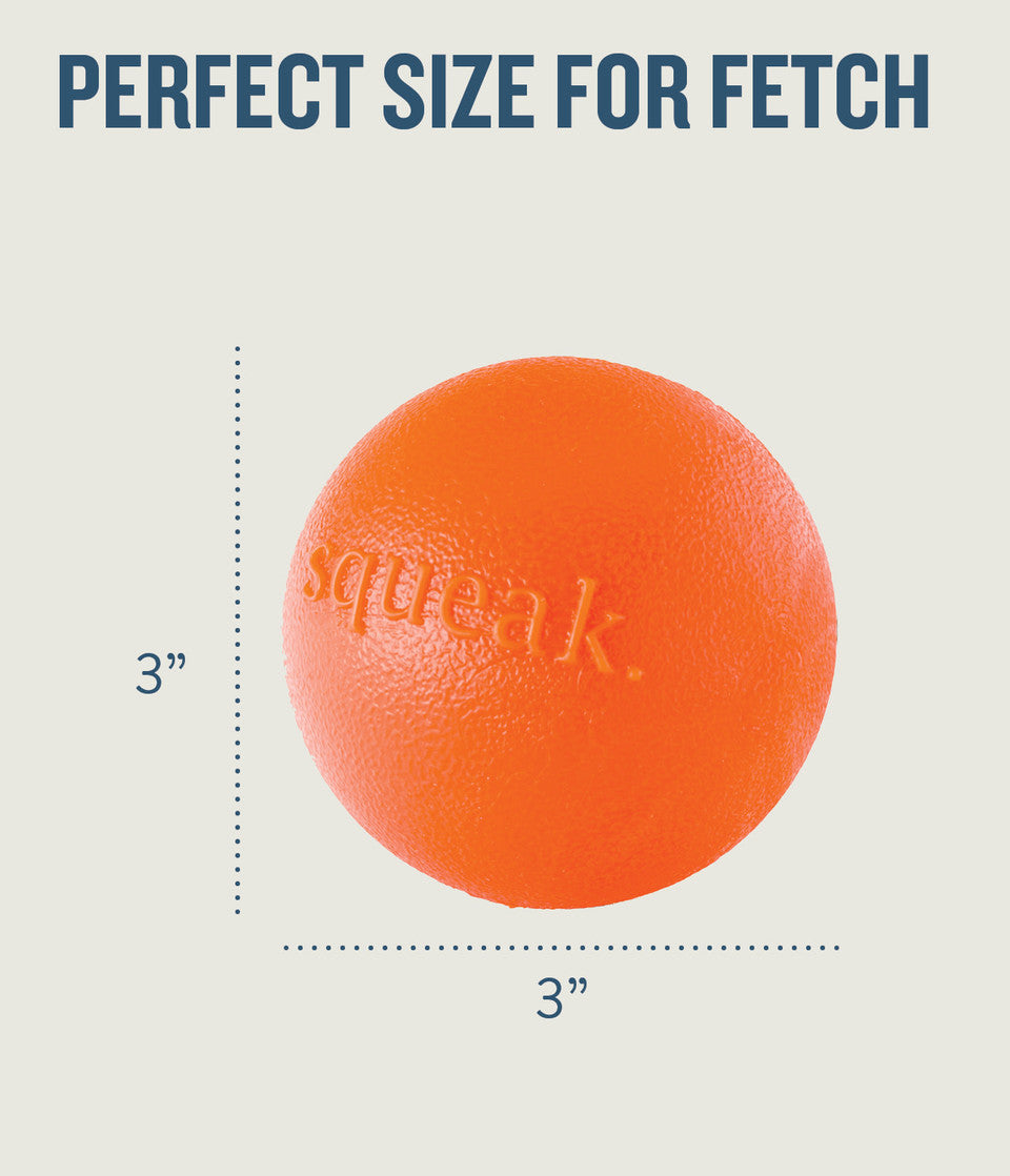 Planet Dog Orbee Tuff Fresh Breath Squeaker Fetch Ball for Dogs