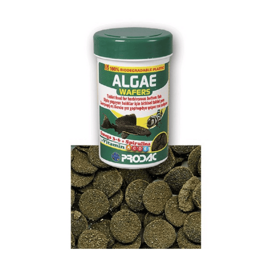 Prodac Aglae Wafers - Little Pet World