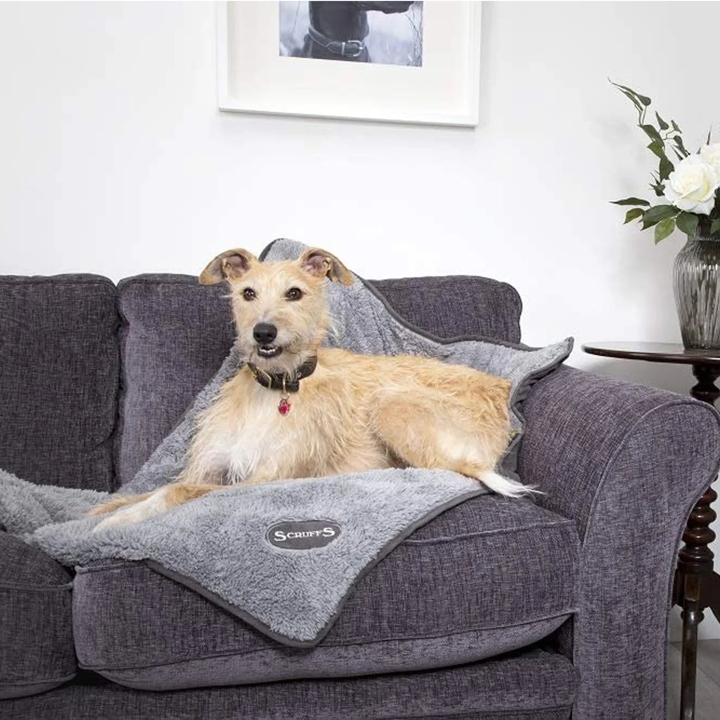 Scruffs Cosy Blanket (Grey 110x72cm)