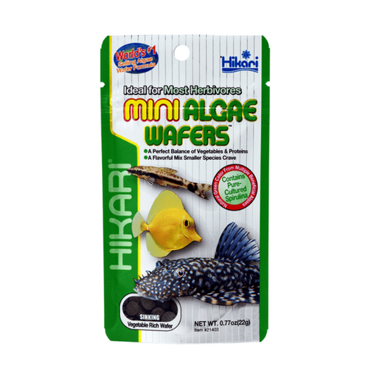 Hikari Mini Algae Wafers - Little Pet World