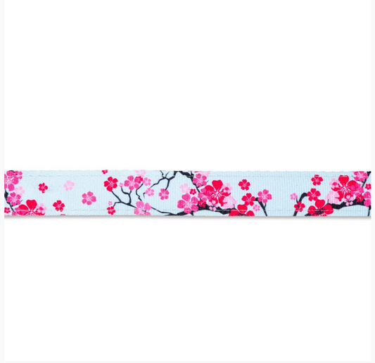 Max & Molly Smart ID Cat Collar - Cherry Bloom