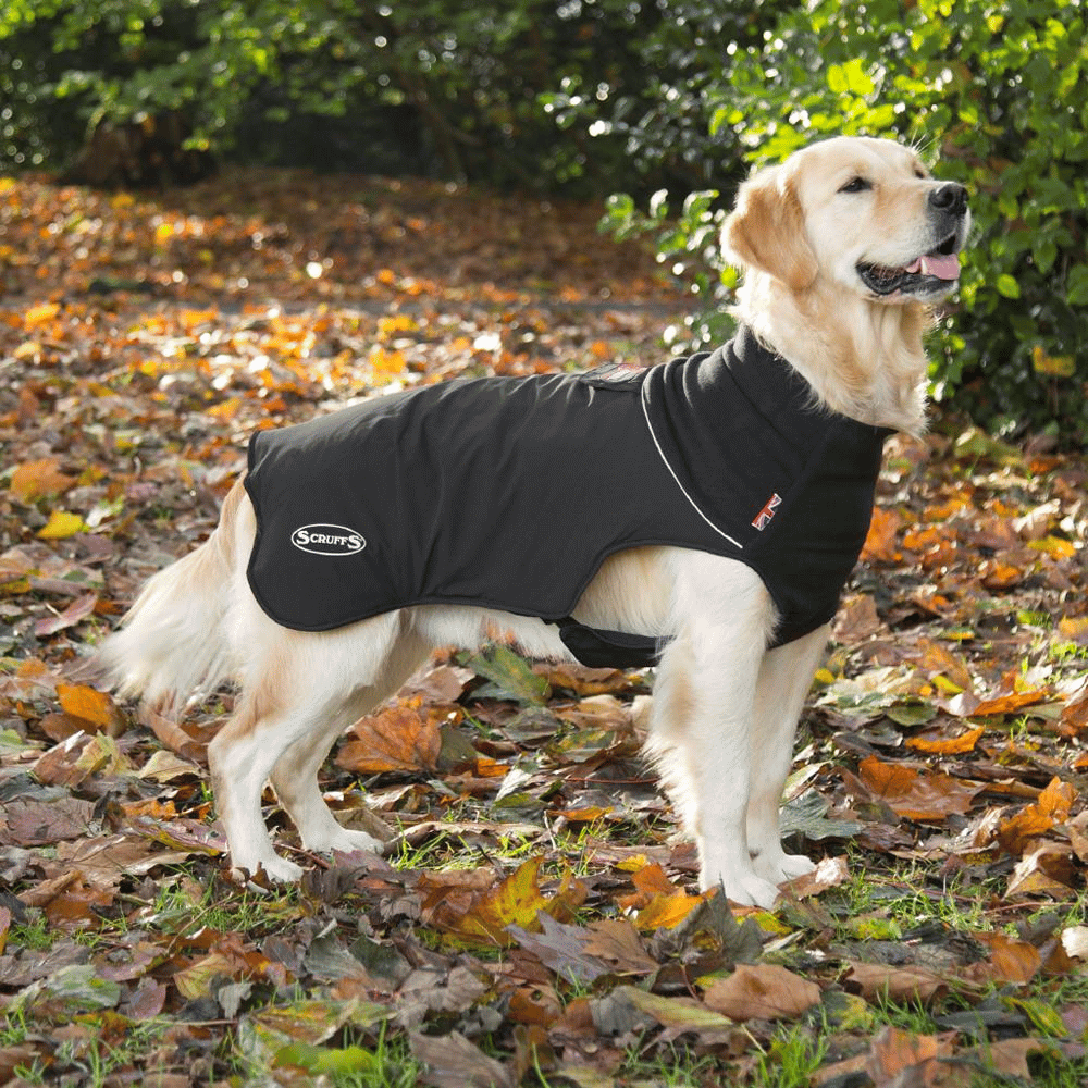 Scruffs Thermal Dog Coat - Little Pet World