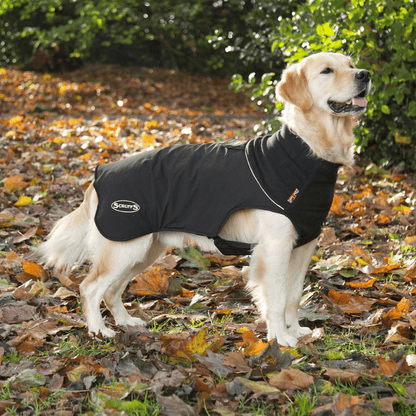 Scruffs Thermal Dog Coat - Little Pet World