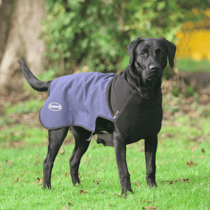 Scruffs Thermal Dog Coat - Little Pet World