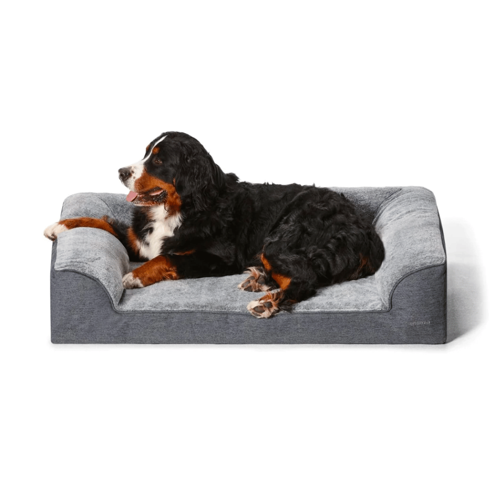 Snooza Ortho Dream Sofa - Little Pet World