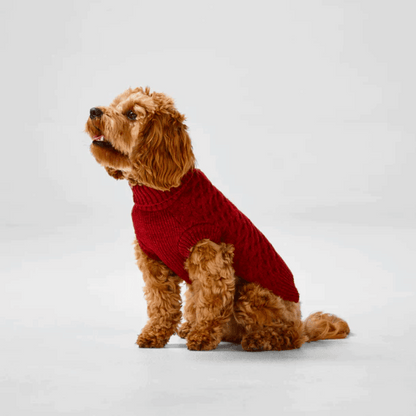 Snooza Wear RPET Knit Polo (Large) - Little Pet World