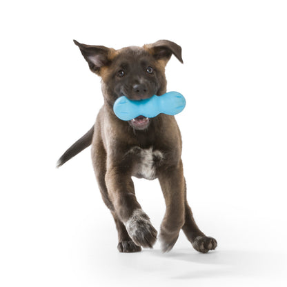 West Paw Rumpus Tough Fetch Stick Dog Toy