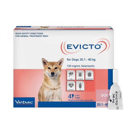 Virbac Evicto Large Dogs 20.1 to 40kg (4 x 2ml Tubes)