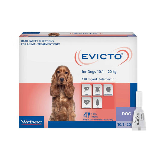 Virbac Evicto Medium Dogs 10.1 to 20kg (4 x 1ml Tubes)