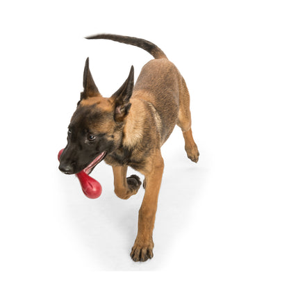 West Paw Hurley Fetch Toy for Tough Dogs