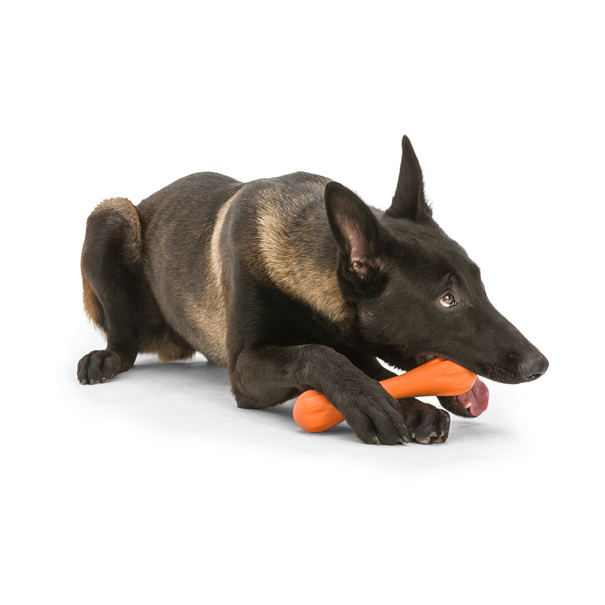 West Paw Hurley Fetch Toy for Tough Dogs