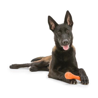 West Paw Hurley Fetch Toy for Tough Dogs