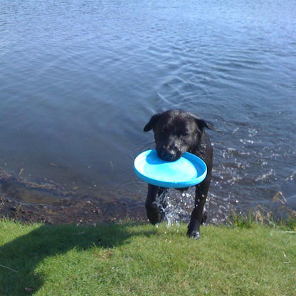 West Paw Zisc Flying Disc Fetch Dog Toy