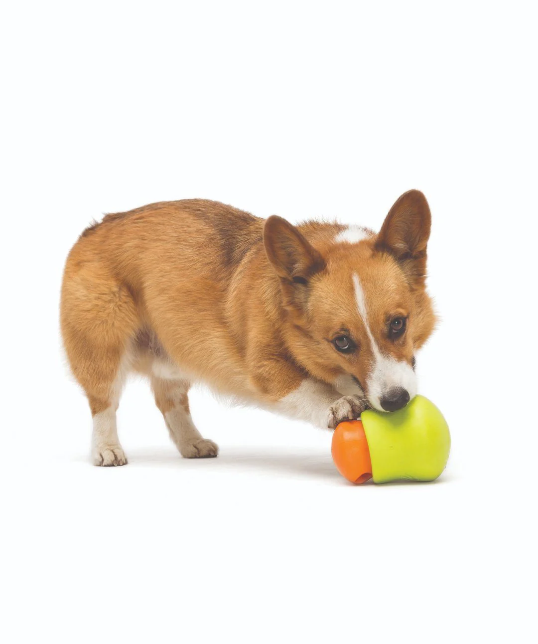 West Paw Toppl Treat Dispensing Dog Toy