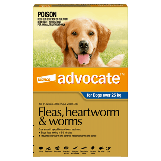 Advocate Fleas, Heartworm & Worms Dogs over 25kg Blue 6 pack (6 x 4.0ml Tubes)