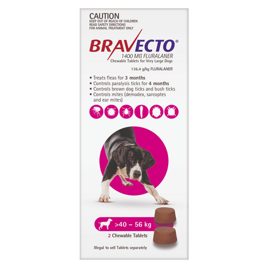 Bravecto Very Large Dog Purple Over 40kg Single Chew Flea & Tick Control - Extra Large