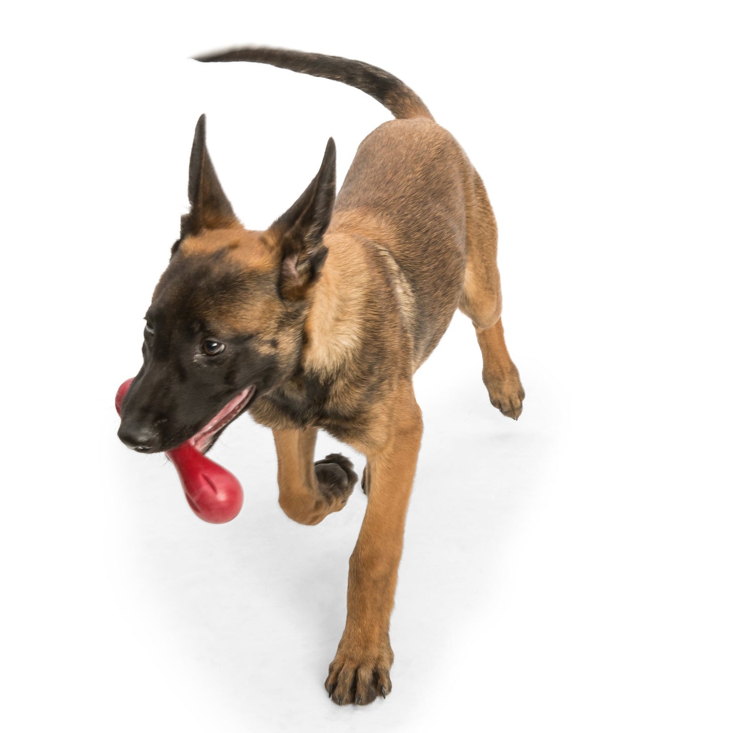 West Paw Hurley Fetch Toy for Tough Dogs - Ruby Red