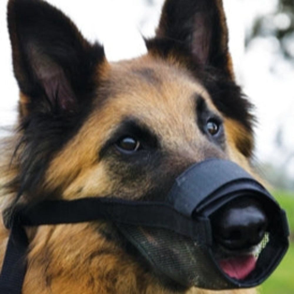Beau Pets Adjustable Muzzle Nylon (Black)