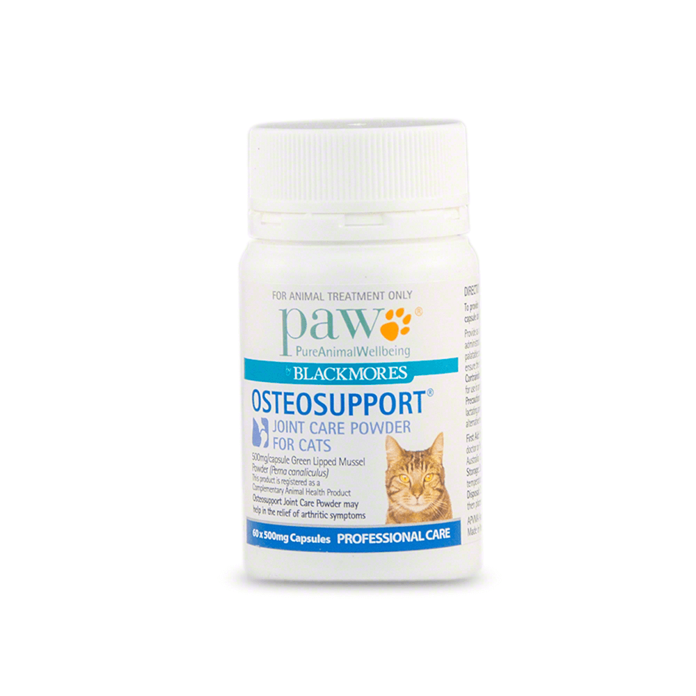 PAW Blackmores Osteosupport Joint Care Powder For Cats - Little Pet World