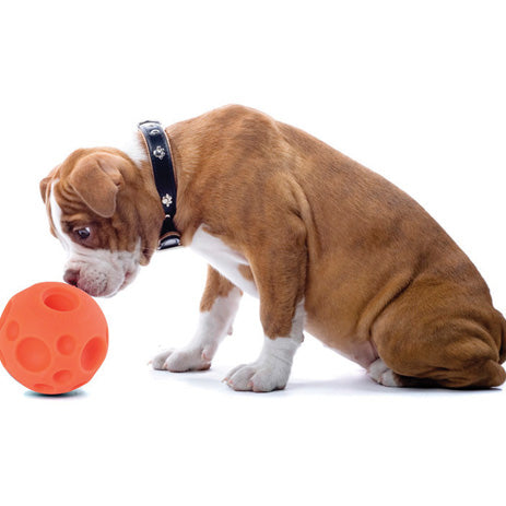 Omega Paw Tricky Treat Ball Treat & Food Dispensing Dog Toy