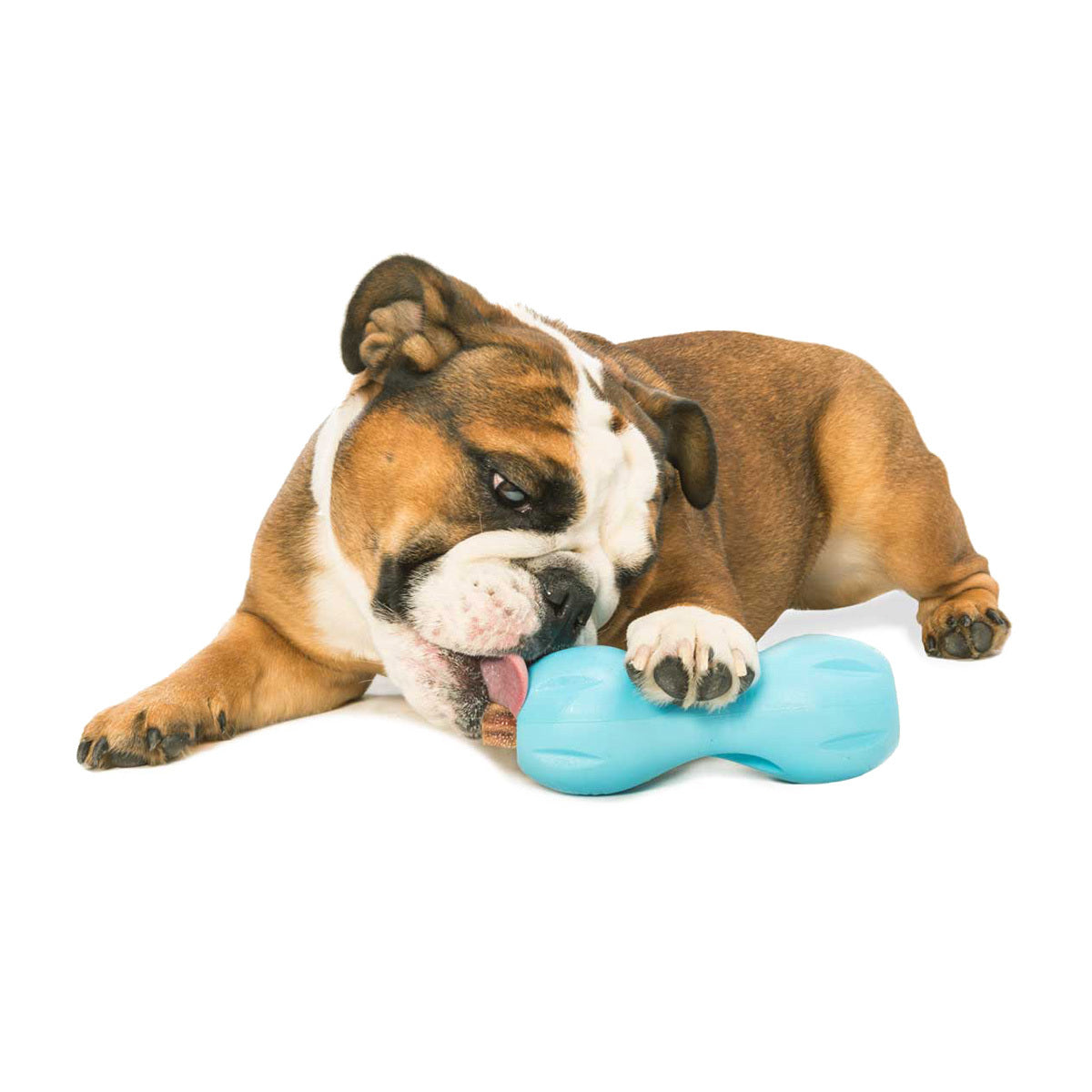 West Paw Qwizl Treat Dispensing Dog Toy